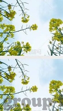 八波足球即时比分-八波足球即时比分，球迷的实时信息盛宴