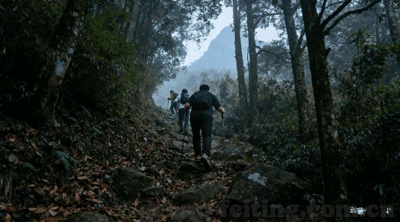陈奕迅现身世界杯-陈奕迅现身世界杯，音乐与足球的跨界盛宴