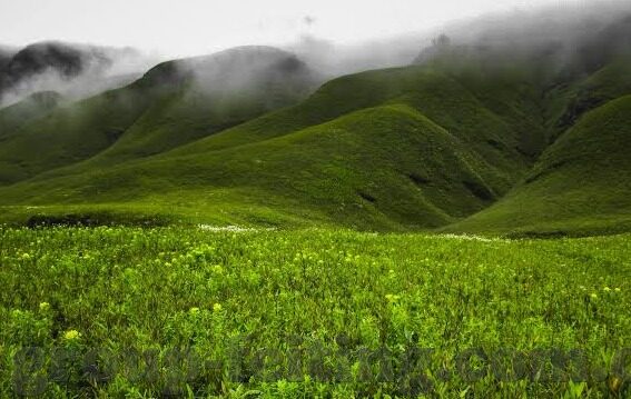 杏彩娱乐兑换比列好高-杏彩娱乐兑换比例高，玩家体验更畅快